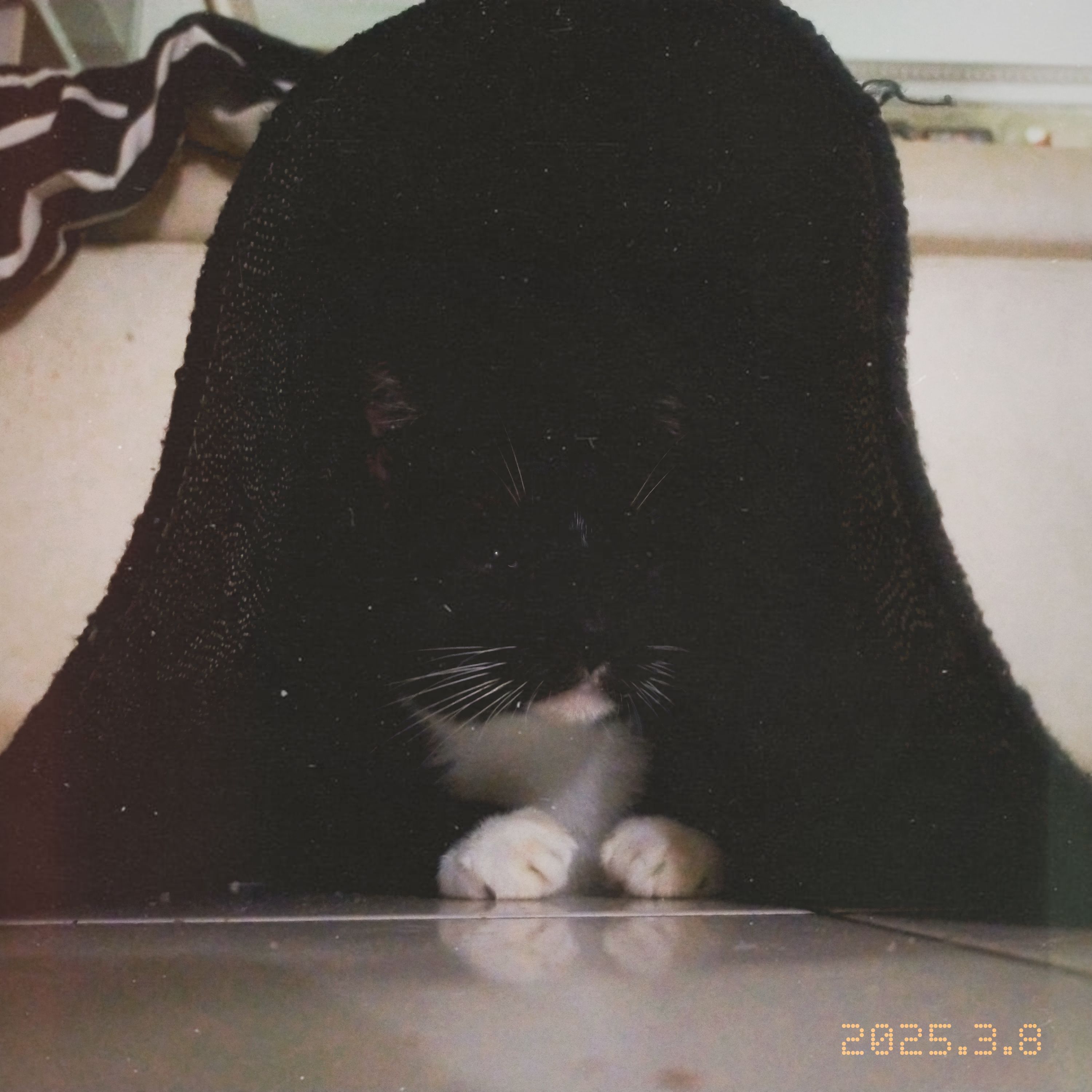 miko 08