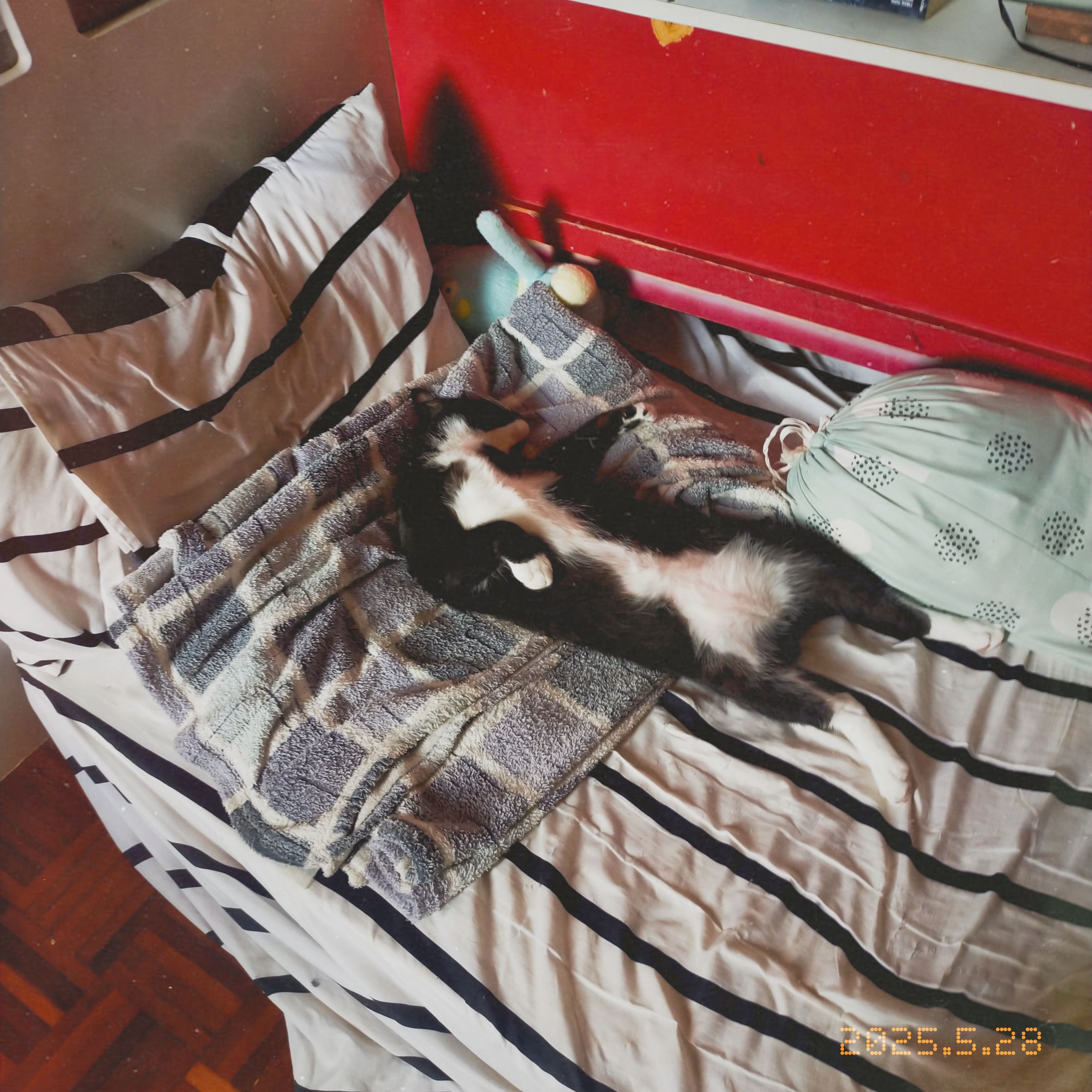 miko 10
